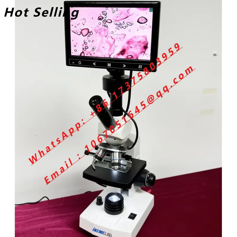 Medical Lab Microscope - WEIAI Vende Microscópios Binoculares Biológicos Digitais