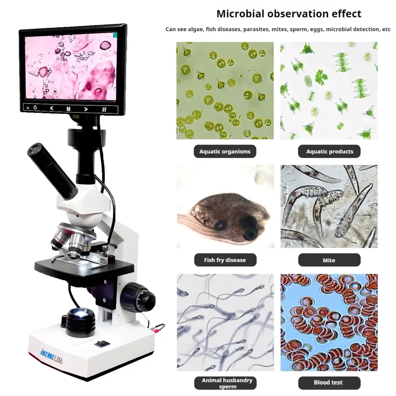 WEIAI Vende Microscópios Binoc - Medical Lab Microscope avaliação e preço
